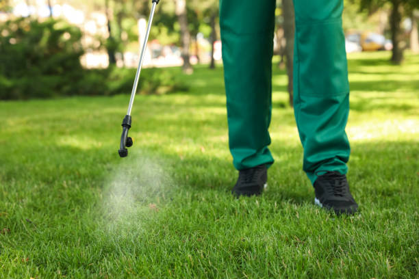 Best Wasp Removal Services  in Brookings, SD