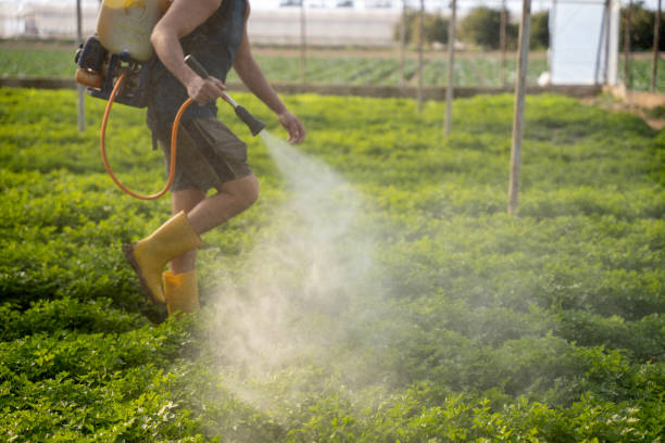 Best Emergency Pest Control  in Brookings, SD