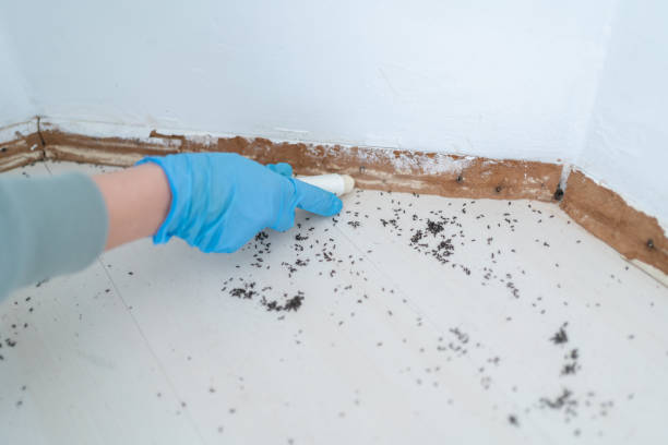 Best Pest Removal Services  in Brookings, SD