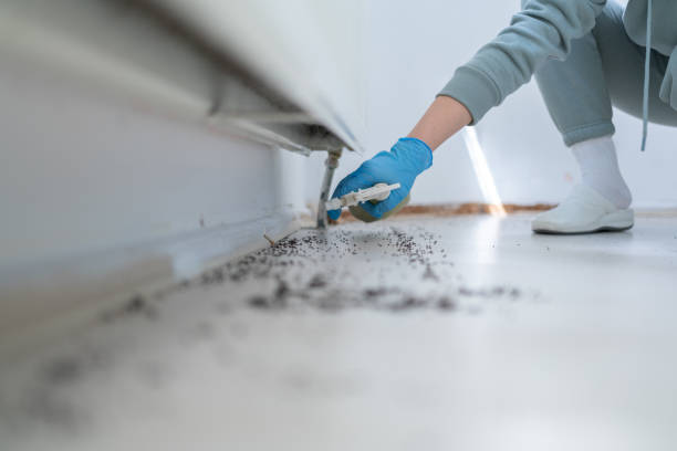 Best Cockroach Control Services  in Brookings, SD