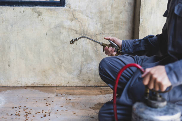 Best Best Pest Control Companies  in Brookings, SD